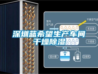 知識百科深圳藍希望生產車間幹燥91看片在线下载