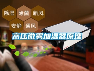 企業手机看片AV短片高壓微霧加濕器原理