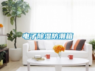 常見問題電子91看片在线下载防潮箱