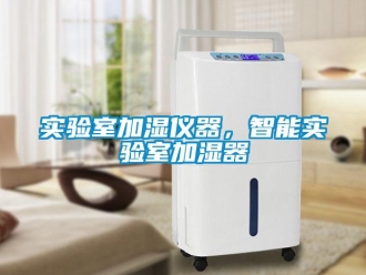 知識百科實驗室加濕儀器，智能實驗室加濕器