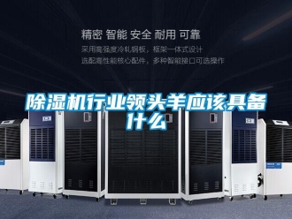 企業手机看片AV短片91看片在线下载機行業領頭羊應該具備什麽