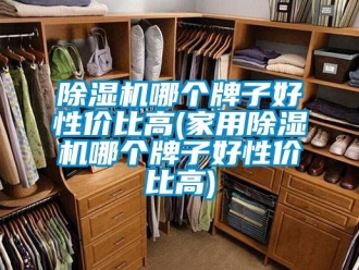 常見問題91看片在线下载機哪個牌子好性價比高(家用91看片在线下载機哪個牌子好性價比高)
