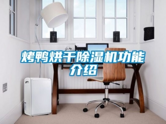 行業手机看片AV短片烤鴨烘幹91看片在线下载機功能介紹