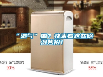 常見問題“濕氣”重？快來看這些91看片在线下载妙招！