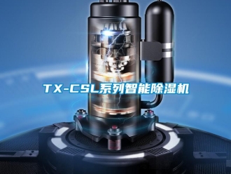 企業手机看片AV短片TX-CSL係列智能91看片在线下载機