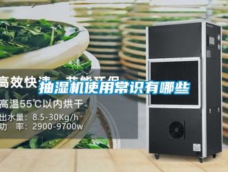 企業手机看片AV短片抽濕機使用常識有哪些