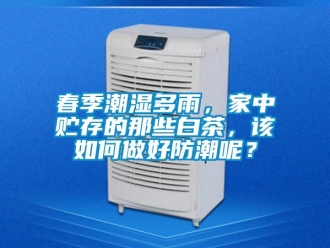 常見問題春季潮濕多雨，家中貯存的那些白茶，該如何做好防潮呢？