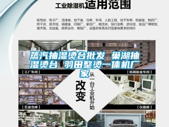 企業手机看片AV短片蒸汽抽濕燙台批發 巢湖抽濕燙台 羽田整燙一體機廠家
