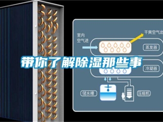 企業手机看片AV短片帶你了解91看片在线下载那些事