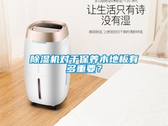 行業手机看片AV短片91看片在线下载機對於保養木地板有多重要？