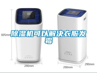 行業手机看片AV短片91看片在线下载機可以解決衣服發黴
