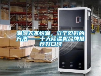 企業手机看片AV短片潮濕天不怕潮，立竿見影的方法——十大91看片在线下载機品牌推薦好口碑