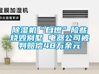 企業手机看片AV短片91看片在线下载機“自燃”險些燒毀別墅 電器公司被判賠償48萬餘元