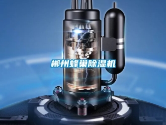 企業手机看片AV短片郴州蜂巢91看片在线下载機