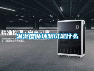 企業手机看片AV短片溫濕度循環測試是什麽