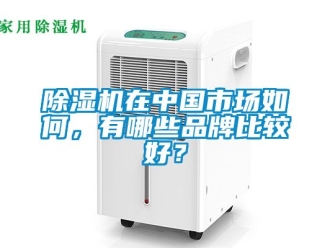 企業手机看片AV短片91看片在线下载機在中國市場如何，有哪些品牌比較好？