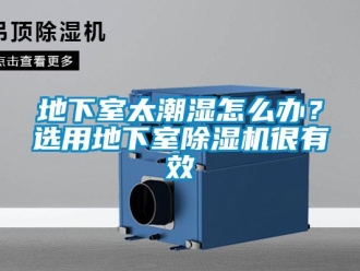 常見問題地下室太潮濕怎麽辦？選用地下室91看片在线下载機很有效
