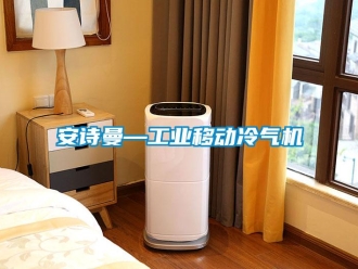 企業手机看片AV短片91免费看片APP—工業移動冷氣機