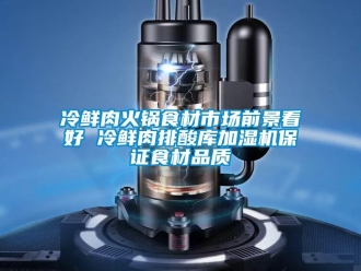 行業手机看片AV短片冷鮮肉火鍋食材市場前景看好 冷鮮肉排酸庫加濕機保證食材品質