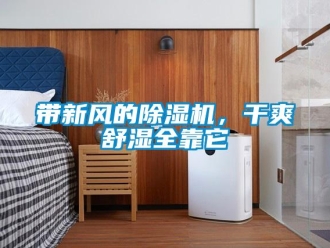 企業手机看片AV短片帶新風的91看片在线下载機，幹爽舒濕全靠它