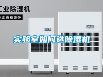 常見問題實驗室如何選91看片在线下载機