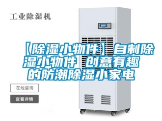 常見問題【91看片在线下载小物件】自製91看片在线下载小物件 創意有趣的防潮91看片在线下载小家電