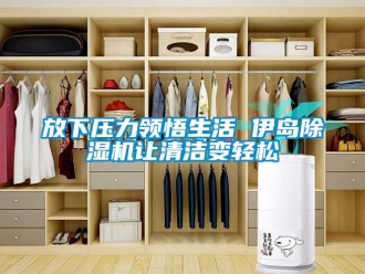 企業手机看片AV短片放下壓力領悟生活 伊島91看片在线下载機讓清潔變輕鬆