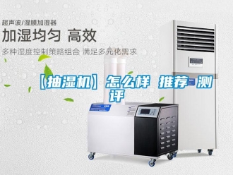 企業手机看片AV短片【抽濕機】怎麽樣 推薦 測評