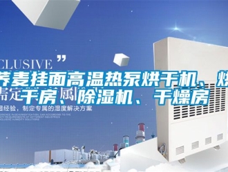 行業手机看片AV短片蕎麥掛麵高溫熱泵烘幹機、烘幹房、91看片在线下载機、幹燥房