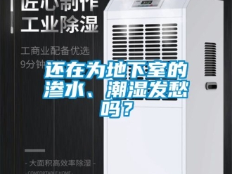企業手机看片AV短片還在為地下室的滲水、潮濕發愁嗎？