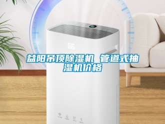 企業手机看片AV短片益陽吊頂91看片在线下载機 管道式抽濕機價格
