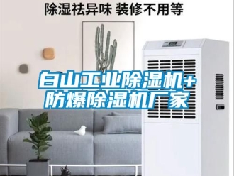 企業手机看片AV短片白山工業91看片在线下载機+防爆91看片在线下载機廠家