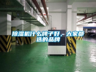 企業手机看片AV短片91看片在线下载機什麽牌子好，大家都選的品牌