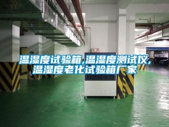 企業手机看片AV短片溫濕度試驗箱,溫濕度測試儀,溫濕度老化試驗箱廠家