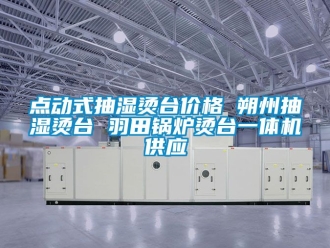 企業手机看片AV短片點動式抽濕燙台價格 朔州抽濕燙台 羽田鍋爐燙台一體機供應