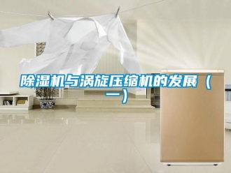 企業手机看片AV短片91看片在线下载機與渦旋壓縮機的發展（一）