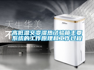 常見問題高低溫交變濕熱試驗箱主要係統的工作原理和工作過程