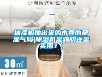 企業手机看片AV短片抽濕機抽出來的水真的是濕氣嗎(91看片在线下载機是雞肋還是實用？)