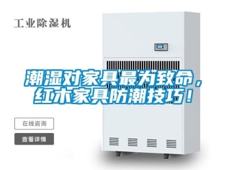 企業手机看片AV短片潮濕對家具最為致命，紅木家具防潮技巧！