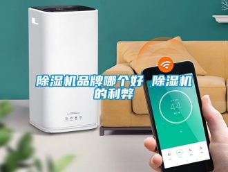 企業手机看片AV短片91看片在线下载機品牌哪個好 91看片在线下载機的利弊