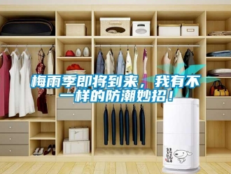行業手机看片AV短片梅雨季即將到來，我有不一樣的防潮妙招！
