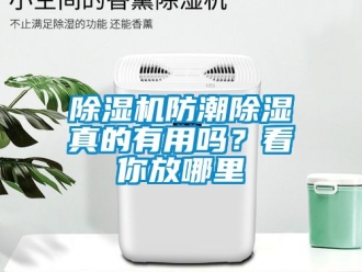 行業手机看片AV短片91看片在线下载機防潮91看片在线下载真的有用嗎？看你放哪裏