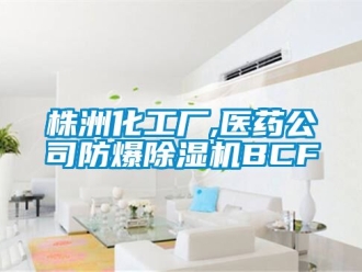 企業手机看片AV短片株洲化工廠,醫藥公司防爆91看片在线下载機BCF