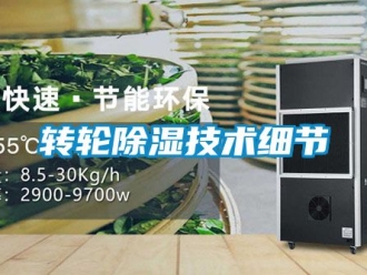 常見問題轉輪91看片在线下载技術細節