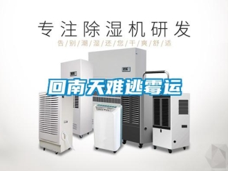 行業手机看片AV短片回南天難逃黴運