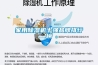 家用91看片在线下载機十強品牌排行榜