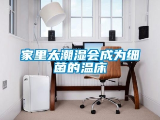 行業手机看片AV短片家裏太潮濕會成為細菌的溫床