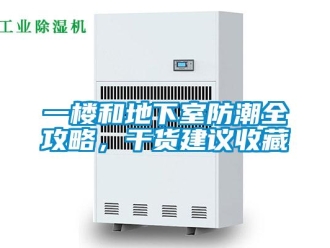 企業手机看片AV短片一樓和地下室防潮全攻略，幹貨建議收藏