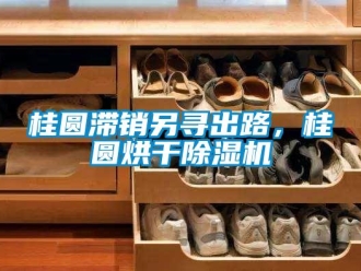 行業手机看片AV短片桂圓滯銷另尋出路，桂圓烘幹91看片在线下载機