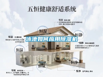 行業手机看片AV短片泳池如何應用91看片在线下载機